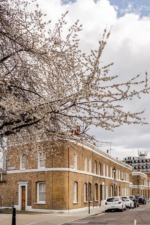 A brick East London terrace under white spring blossom